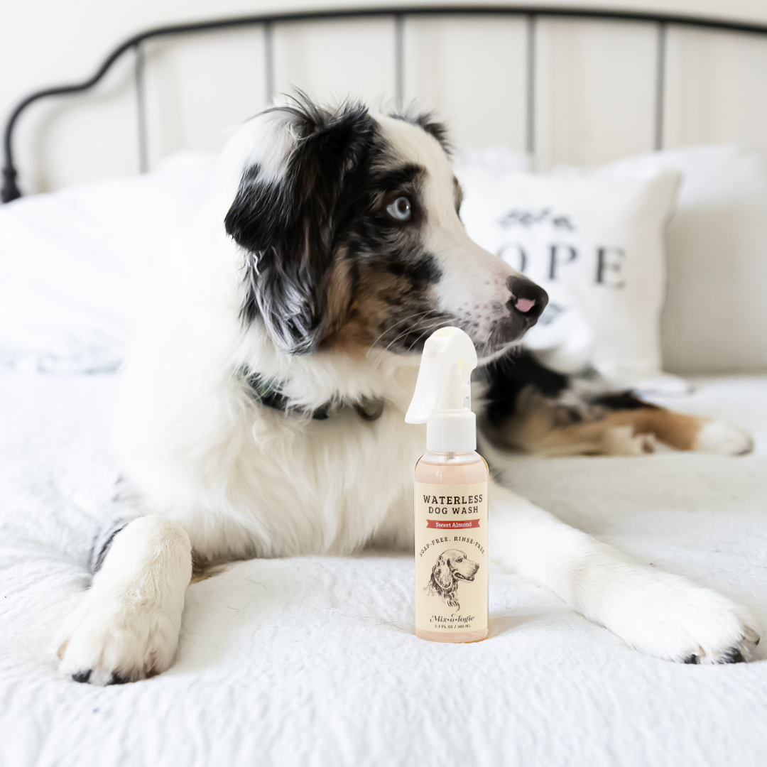Sweet Almond | Waterless Dog Wash